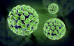 Virus HPV và những điều cần biết
