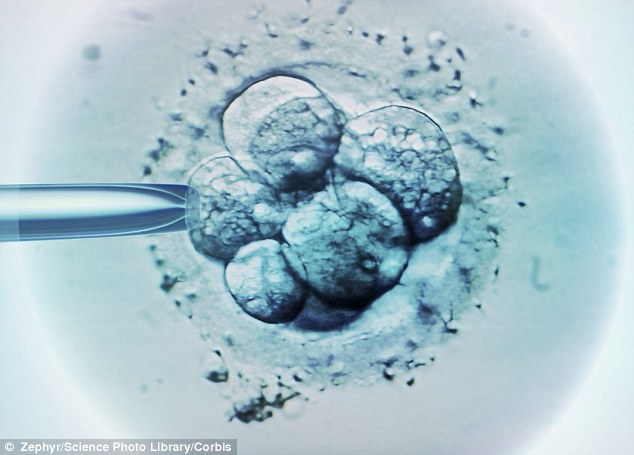 Khám phá bí ẩn của hiện tượng khiếm khuyết phôi thai khi thụ tinh ống nghiệm