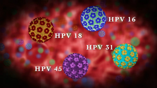 Nam sinh cũng cần tiêm vaccine HPV