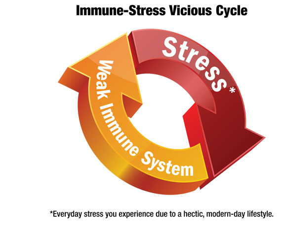 Những sự thật thú vị về hệ miễn dịch