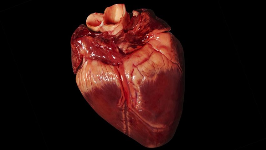 7 dấu hiệu tưởng chừng không liên quan đến bệnh tim