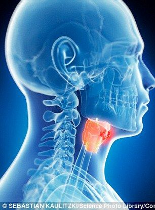 Năm điều nên biết về HPV và ung thư vòm họng