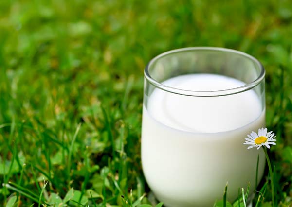 3 tác dụng phụ có thể xảy ra khi uống sữa không chứa lactose mỗi ngày I Viam clinic