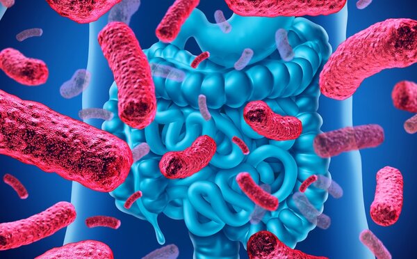 Tác dụng của men vi sinh probiotic với sức khỏe tiêu hóa