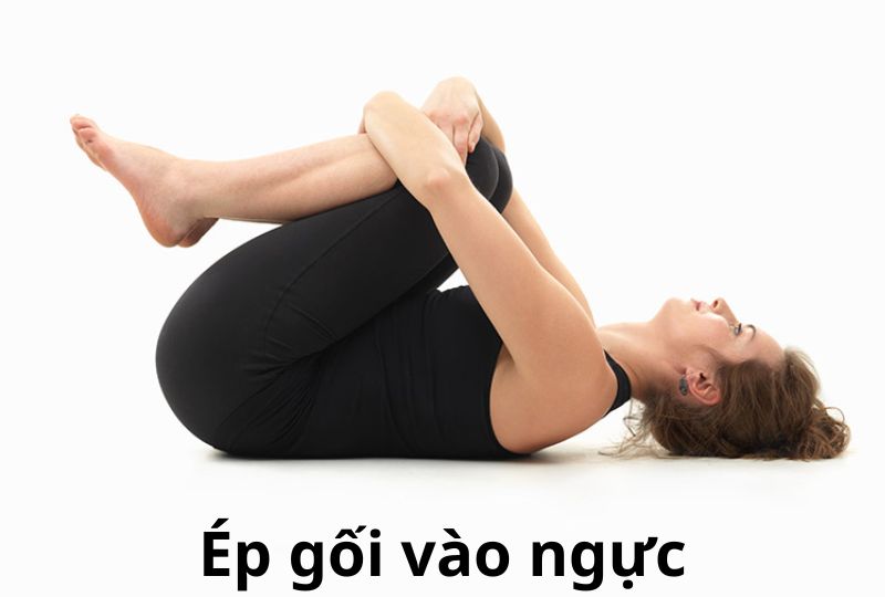 Các bài tập thể dục tại nhà - co duỗi, giãn cơ l VIAM clinic