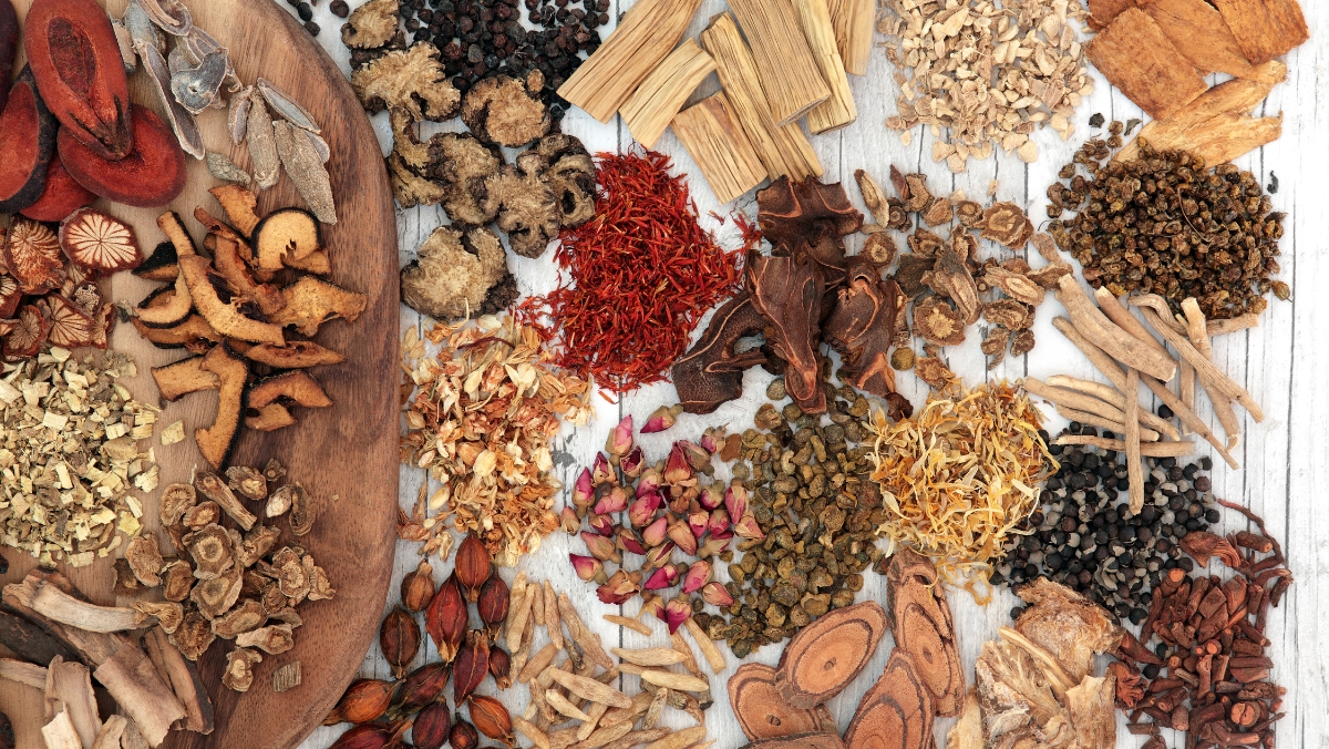 Cơ chế bảo vệ gan thường gặp của dược liệu