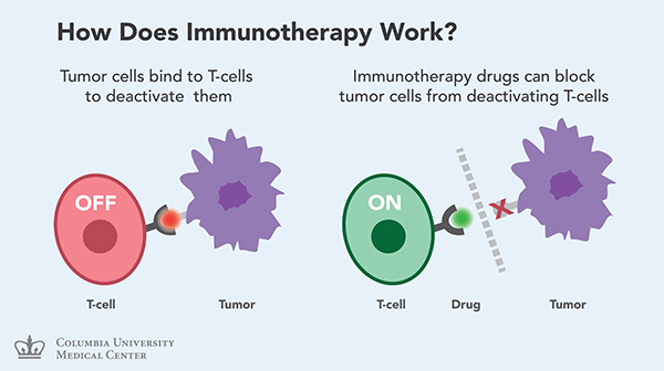 Đột phá mới trong điều trị ung thư bằng liệu pháp miễn dịch (IMMUNOTHERAPY)