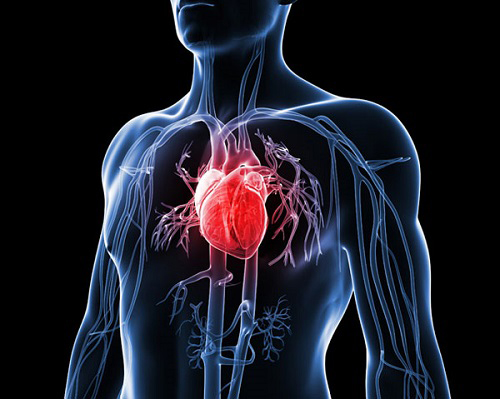 Phục hồi chức năng tim mạch
