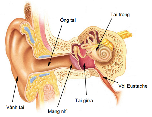 Nhận biết viêm tai giữa ở trẻ em