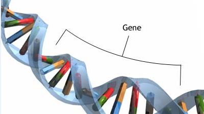 Phát hiện hơn 100 mã ADN đột biến gien gây tâm thần phân liệt