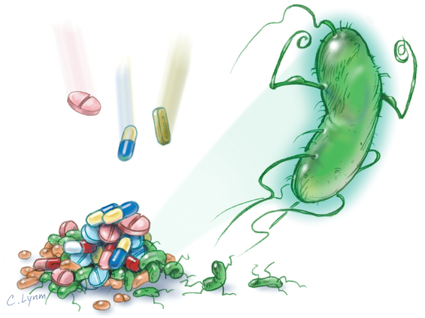 Lạm dụng thuốc và hiểm hoạ kháng thuốc kháng sinh