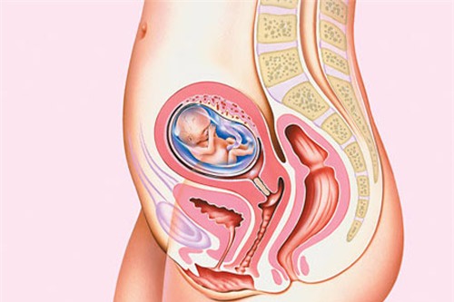 “Cô bé” sẽ thay đổi kỳ diệu thế nào khi Phụ nữ mang thai?