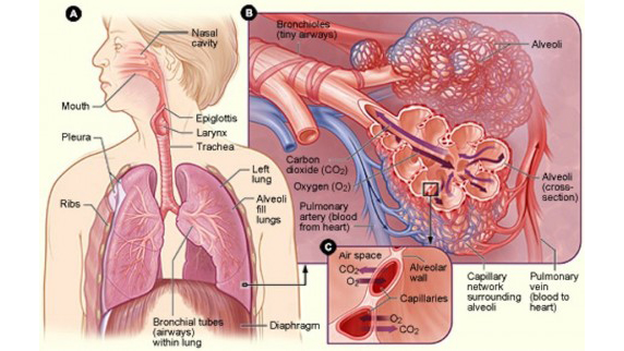 Những điều cần biết về bệnh tăng áp động mạch phổi