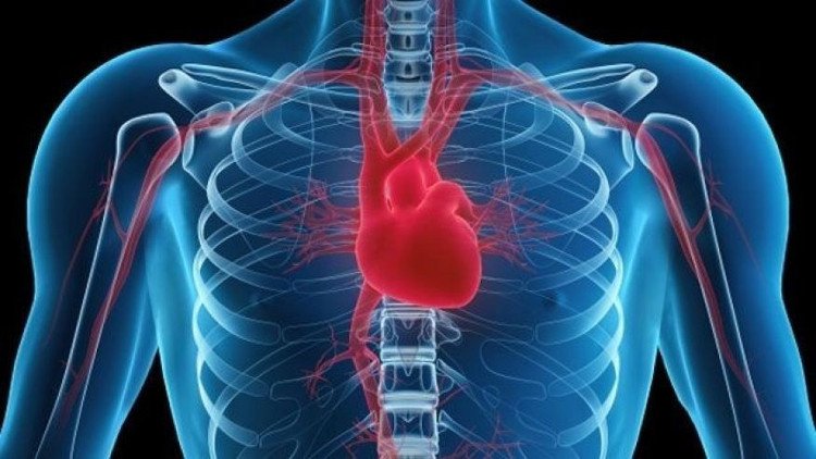 Liệu trên đời có căn bệnh nào mang tên "Ung thư tim"?