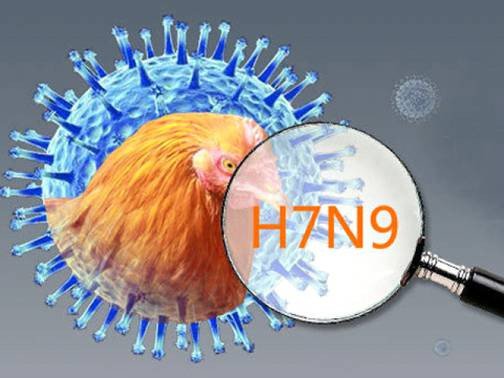 Triệu chứng và cách phòng chống bệnh cúm A/H7N9 | VIAM