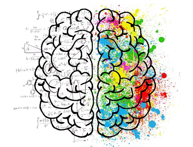 Sự khác biệt giữa não trái và não phải | VIAM