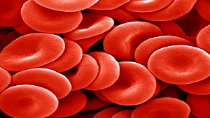 Liệu tăng hồng cầu có thể là dấu hiệu của các bệnh lý nào khác trong cơ thể?
