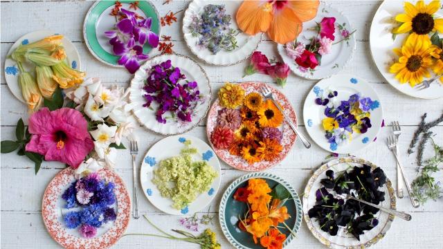 8 loài hoa ăn được mang nhiều lời ích sức khỏe bất ngờ | VIAM