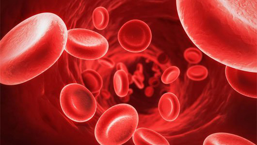 Hiệu quả của các phương pháp điều trị hay giải quyết sự kết dính hồng cầu khi truyền máu là như thế nào?
